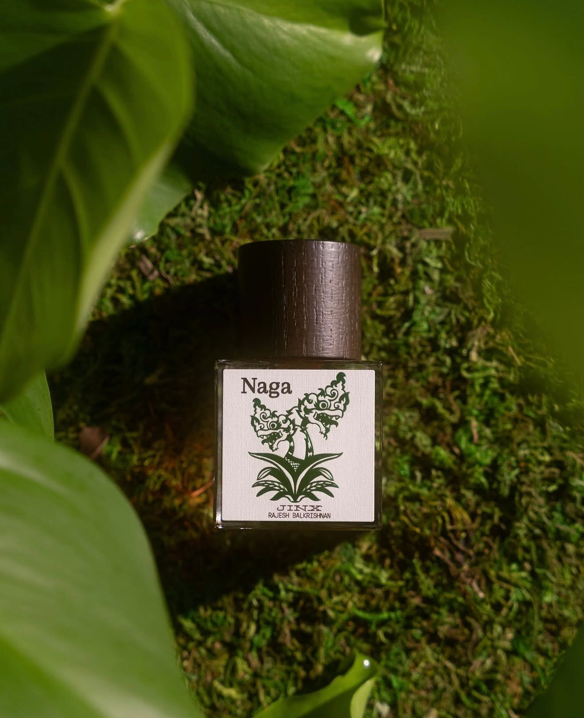 Naga by Jinx Smells lying on green moss, framed by broad leaves