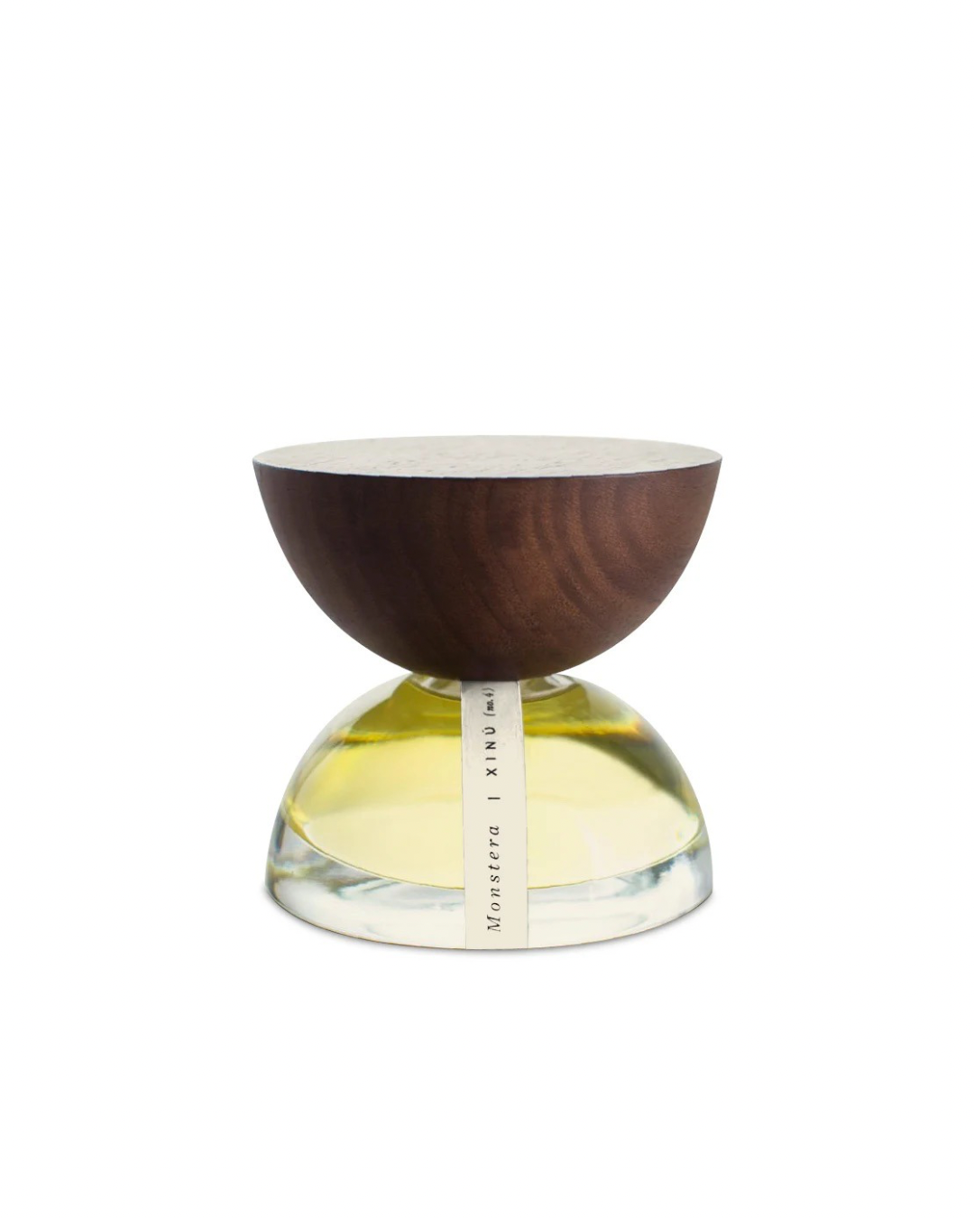 Xinú — Monstera (no. 4) | Sample