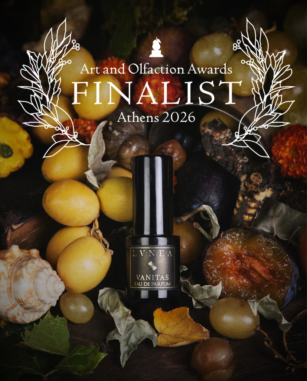 Vanitas by LVNEA in a still life of fruit and shells, with the Art and Olfaction Awards Finalist banner, Athens 2026