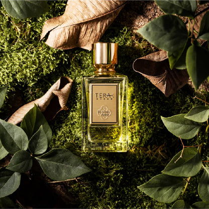 Ici, le pas s'arrête by TERRA•T photographed on moss and fallen leaves
